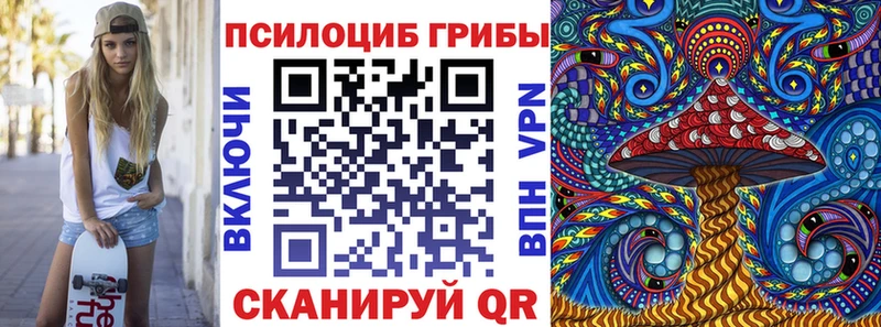 цены   Стародуб  Псилоцибиновые грибы прущие грибы 